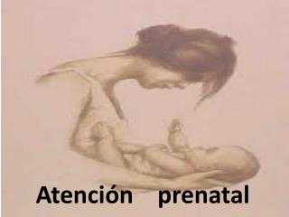 Atención prenatal