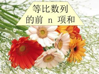 等比数列 的前 n 项和