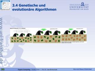 3.4 Genetische und evolutionäre Algorithmen