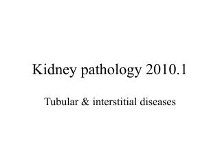 Kidney pathology 2010.1