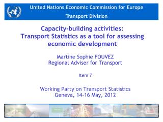 Capacity-building activities: Transport Statistics as a tool for assessing economic development