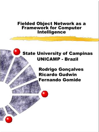 Fielded Object Network as a Framework for Computer Intelligence