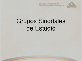 Grupos Sinodales de Estudio