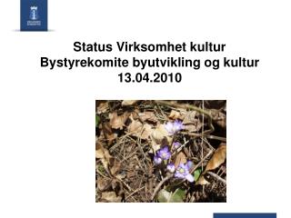 Status Virksomhet kultur Bystyrekomite byutvikling og kultur 13.04.2010