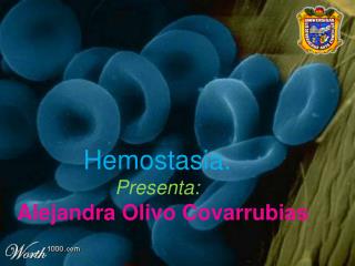 Hemostasia. Presenta : Alejandra Olivo Covarrubias
