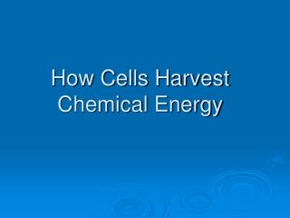 How Cells Harvest Chemical Energy