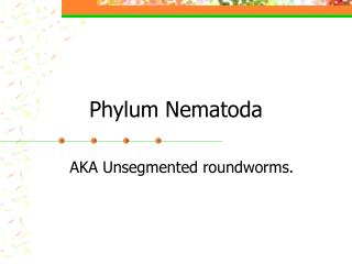 Phylum Nematoda