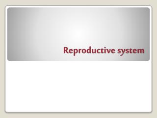 Reproductive system