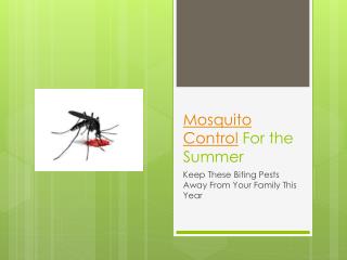 Mosquito ControlFor the Summer - Keep These Biting Pests Awa