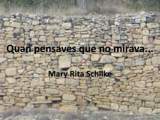 Quan pensaves que no mirava... Mary Rita Schilke