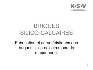 BRIQUES SILICO-CALCAIRES