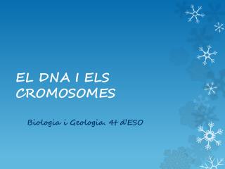 EL DNA I ELS CROMOSOMES