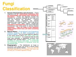 Fungi Classification