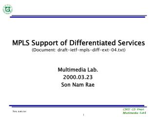 MPLS Support of Differentiated Services (Document: draft-ietf-mpls-diff-ext-04.txt)