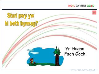 Stori pwy yw hi beth bynnag?