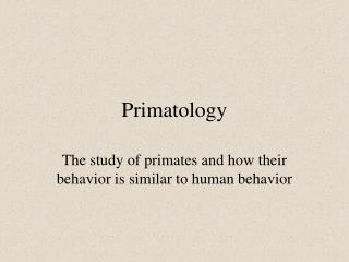 Primatology