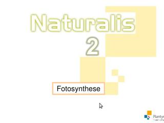 Fotosynthese