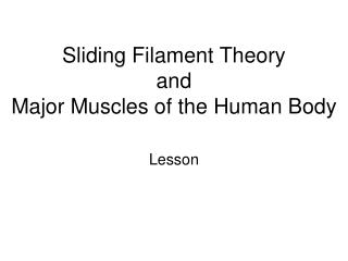 Sliding Filament Theory and Major Muscles of the Human Body