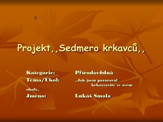 Projekt,,Sedmero krkavců,,