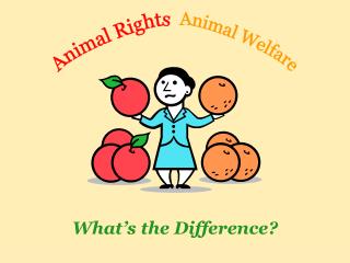 Animal Rights