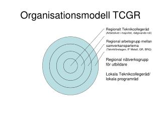 Organisationsmodell TCGR