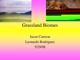 Grassland Biomes