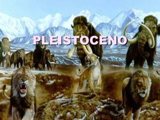 PLEISTOCENO