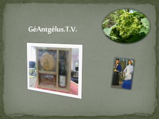 GéAntgélus.T.V.