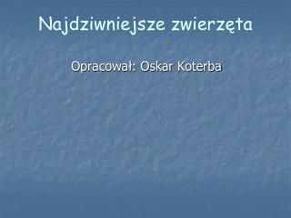 Najdziwniejsze zwierzęta