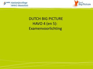 DUTCH BIG PICTURE 			 HAVO 4 (en 5): 	Examenvoorlichting