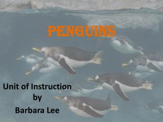 Penguins