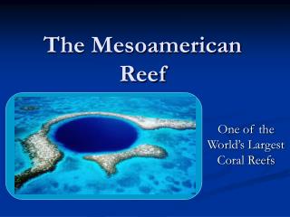 The Mesoamerican Reef