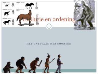 Evolutie en ordening