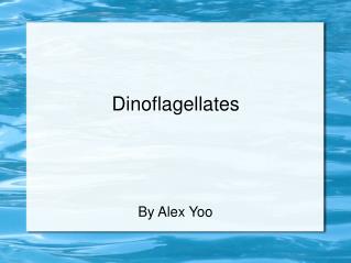 Dinoflagellates