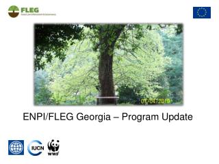 ENPI/FLEG Georgia – Program Update