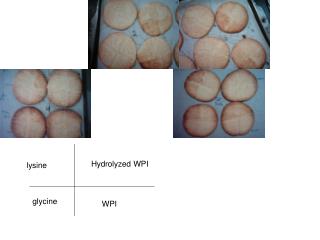 lysine