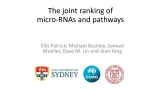 The joint ranking of micro-RNAs and pathways