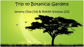 Trip to Botanical Gardens