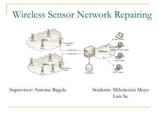 Wireless Sensor Network Repairing