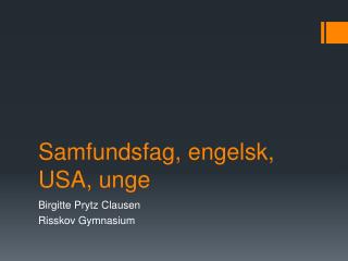 Samfundsfag, engelsk, USA, unge
