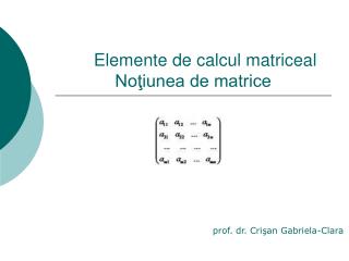 Elemente de calcul matriceal Noţiunea de matrice