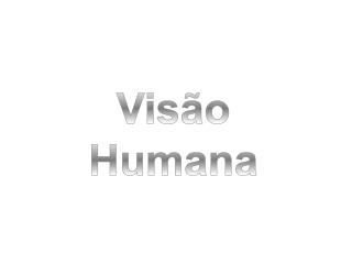 Visão Humana