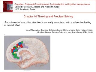 Cognition, Brain and Consciousness: An Introduction to Cognitive Neuroscience