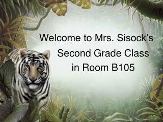 Welcome to Mrs. Sisock’s