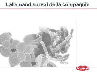 Lallemand survol de la compagnie