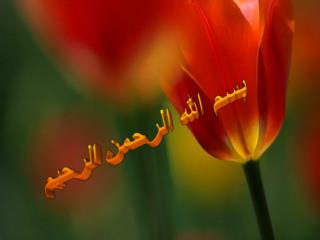 بسم الله الرحمن الرحیم