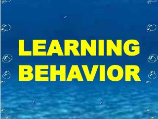 LEARNING BEHAVIOR