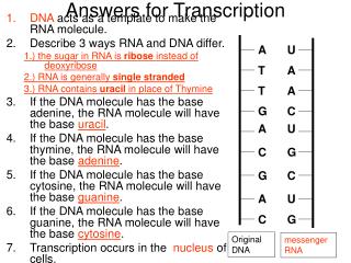 Answers for Transcription