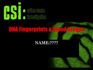 DNA Fingerprints &amp; Blood Groups