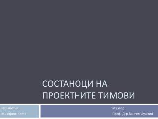 Состаноци на Проектните тимови